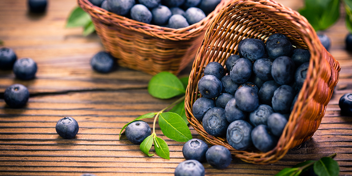 ブルーベリー/Blueberry