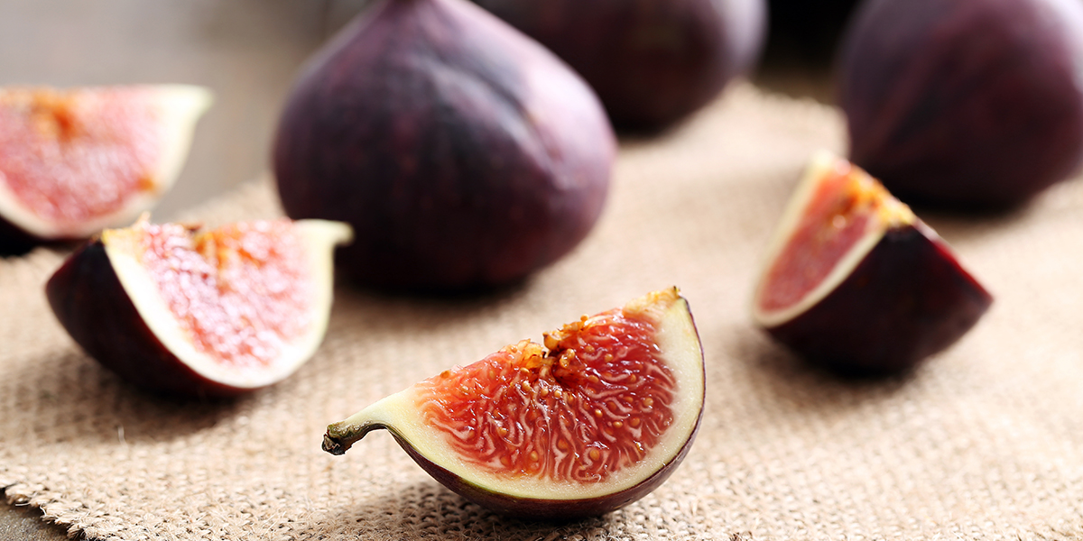 イチジク/Fig
