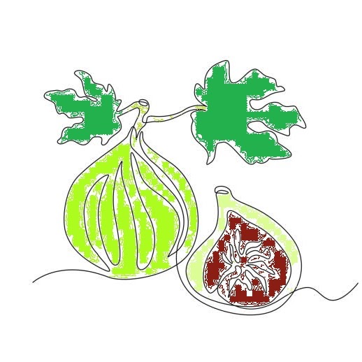 イチジク/Fig