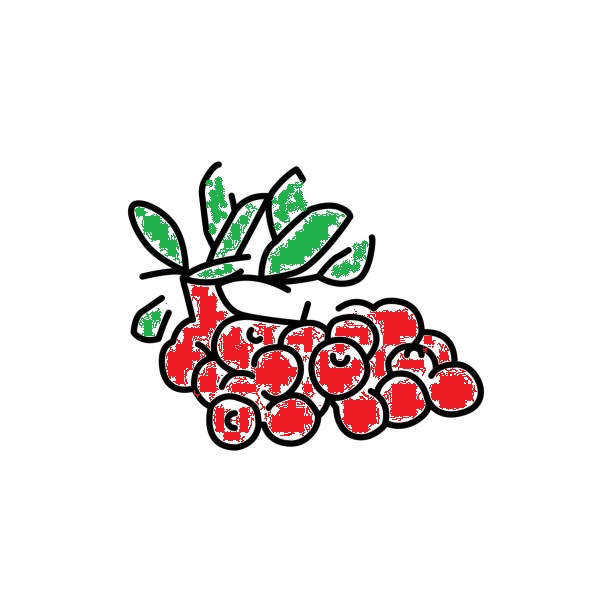 クランベリー/Cranberry